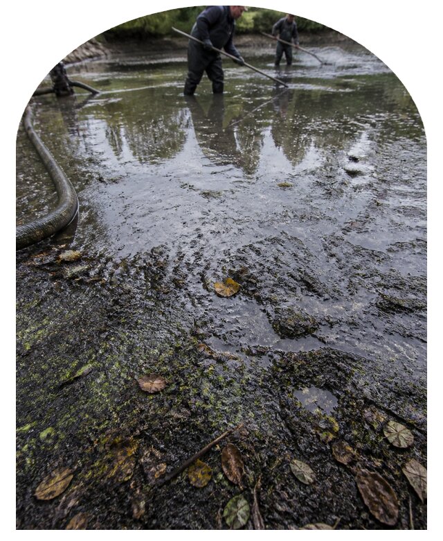 Очистка пруда в Волхове от ила мусора и водорослей с вывозом